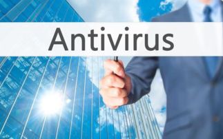 網(wǎng)絡信息安全系統(tǒng)與相關軟件開發(fā)概覽